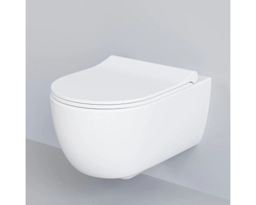 Купить Подвесной безободковый унитаз Ambassador Abner 103T20001R в магазине сантехники Santeh-Crystal.ru