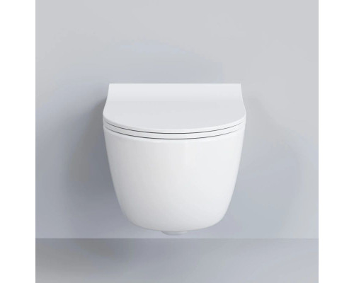 Купить Подвесной безободковый унитаз Ambassador Abner 103T20001R в магазине сантехники Santeh-Crystal.ru