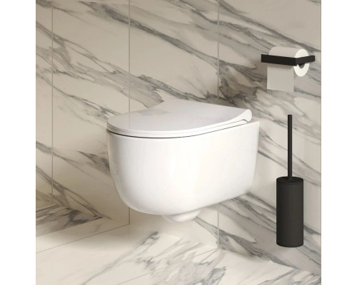 Купить Подвесной безободковый унитаз Ambassador Abner 103T20001R в магазине сантехники Santeh-Crystal.ru