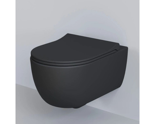 Заказать Подвесной безободковый унитаз Ambassador Abner 103T20201R в магазине сантехники Santeh-Crystal.ru