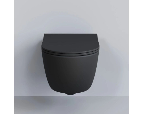 Заказать Подвесной безободковый унитаз Ambassador Abner 103T20201R в магазине сантехники Santeh-Crystal.ru