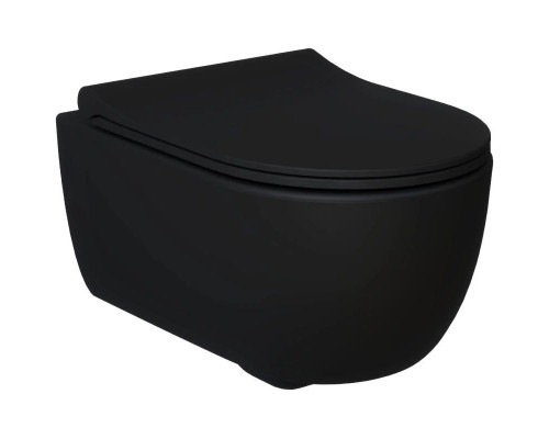 Заказать Подвесной безободковый унитаз Ambassador Abner 103T20201R в магазине сантехники Santeh-Crystal.ru