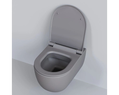 Приобрести Подвесной безободковый унитаз Ambassador Abner 103T20301R в магазине сантехники Santeh-Crystal.ru