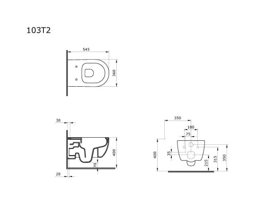 Приобрести Подвесной безободковый унитаз Ambassador Abner 103T20301R в магазине сантехники Santeh-Crystal.ru