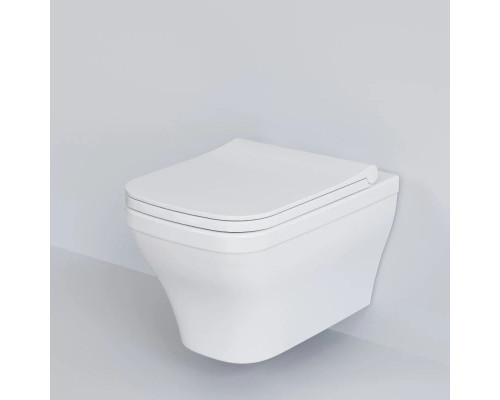 Купить Подвесной безободковый унитаз Ambassador Benefit 203T20001R в магазине сантехники Santeh-Crystal.ru