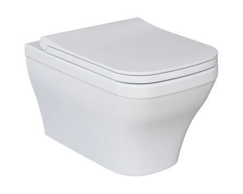 Купить Подвесной безободковый унитаз Ambassador Benefit 203T20001R в магазине сантехники Santeh-Crystal.ru