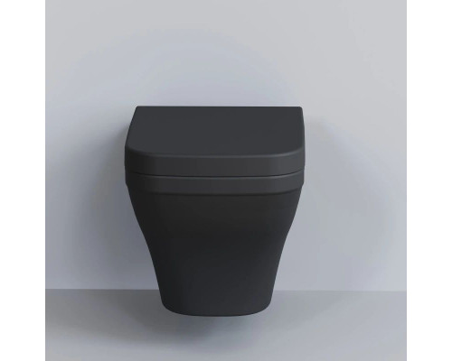 Купить Подвесной безободковый унитаз Ambassador Benefit 203T20201R в магазине сантехники Santeh-Crystal.ru