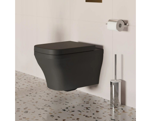 Купить Подвесной безободковый унитаз Ambassador Benefit 203T20201R в магазине сантехники Santeh-Crystal.ru