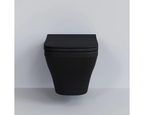 Купить Подвесной безободковый унитаз Ambassador Benefit 203T20201R в магазине сантехники Santeh-Crystal.ru