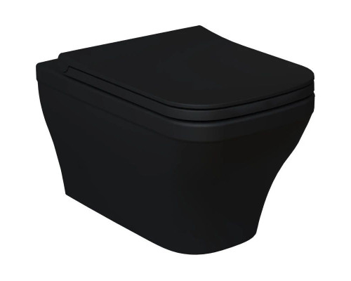 Купить Подвесной безободковый унитаз Ambassador Benefit 203T20201R в магазине сантехники Santeh-Crystal.ru