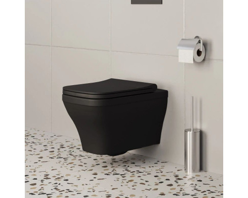 Купить Подвесной безободковый унитаз Ambassador Benefit 203T20201R в магазине сантехники Santeh-Crystal.ru