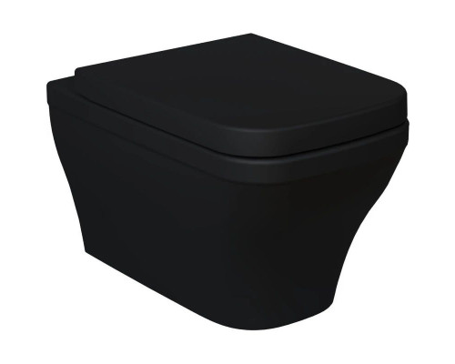 Купить Подвесной безободковый унитаз Ambassador Benefit 203T20201R в магазине сантехники Santeh-Crystal.ru