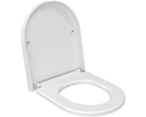 Купить Подвесной безободковый унитаз с сиденьем микролифт Ambassador Nord 133T20101-132T20101 в магазине сантехники Santeh-Crystal.ru