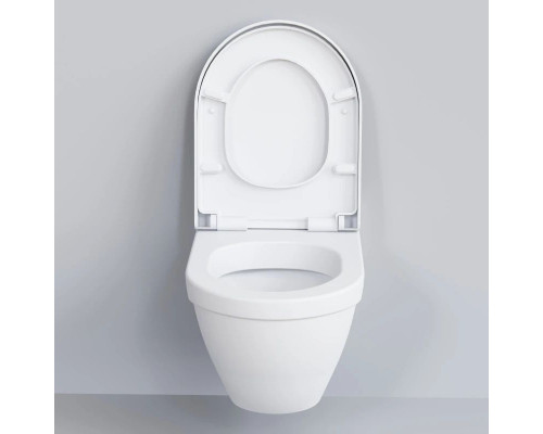 Купить Подвесной безободковый унитаз с сиденьем микролифт Ambassador Nord 133T20101-132T20101 в магазине сантехники Santeh-Crystal.ru