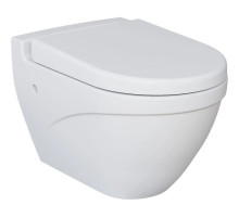 Подвесной безободковый унитаз с сиденьем микролифт Ambassador Nord 133T20101-132T20101