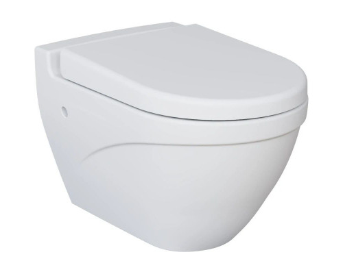 Купить Подвесной безободковый унитаз с сиденьем микролифт Ambassador Nord 133T20101-132T20101 в магазине сантехники Santeh-Crystal.ru