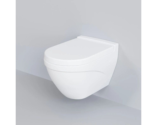 Купить Подвесной безободковый унитаз Ambassador Nord 133T20101 в магазине сантехники Santeh-Crystal.ru