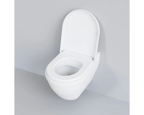 Купить Подвесной безободковый унитаз Ambassador Nord 133T20101 в магазине сантехники Santeh-Crystal.ru