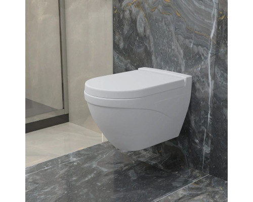 Купить Подвесной безободковый унитаз Ambassador Nord 133T20101 в магазине сантехники Santeh-Crystal.ru