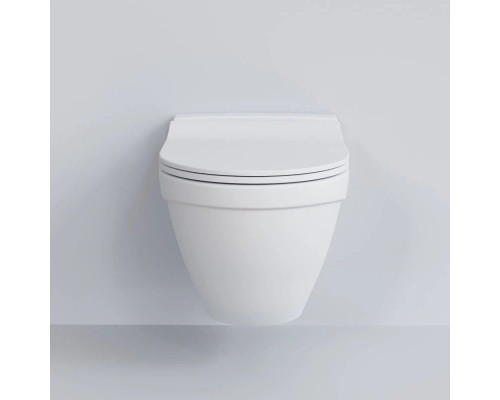 Купить Подвесной безободковый унитаз Ambassador Nord 133T20101 в магазине сантехники Santeh-Crystal.ru