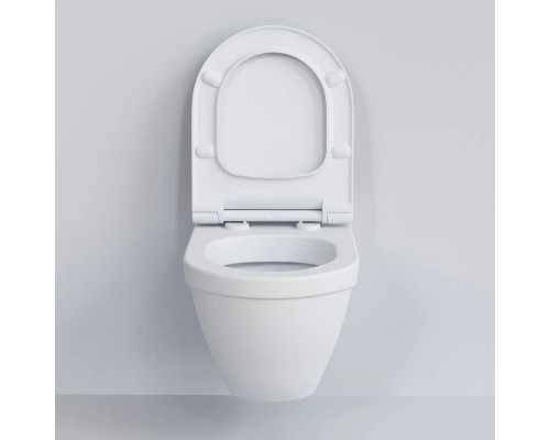 Купить Подвесной безободковый унитаз Ambassador Nord 133T20101 в магазине сантехники Santeh-Crystal.ru