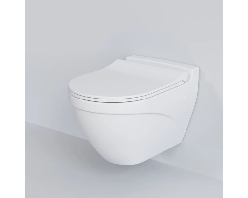 Купить Подвесной безободковый унитаз Ambassador Nord 133T20101 в магазине сантехники Santeh-Crystal.ru