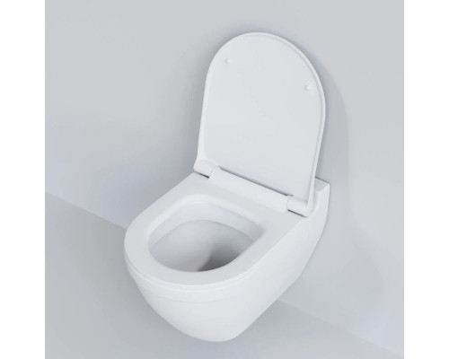 Купить Подвесной безободковый унитаз Ambassador Nord 133T20101 в магазине сантехники Santeh-Crystal.ru