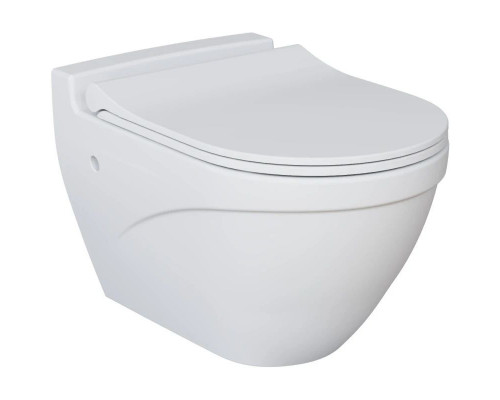 Купить Подвесной безободковый унитаз Ambassador Nord 133T20101 в магазине сантехники Santeh-Crystal.ru