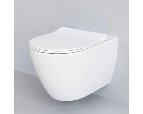 Приобрести Подвесной безободковый унитаз с сиденьем микролифт Ambassador Queen 113T20001R-112T20001S в магазине сантехники Santeh-Crystal.ru