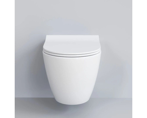 Приобрести Подвесной безободковый унитаз с сиденьем микролифт Ambassador Queen 113T20001R-112T20001S в магазине сантехники Santeh-Crystal.ru