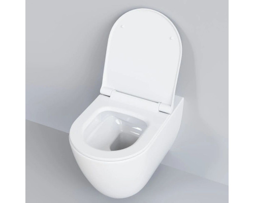 Приобрести Подвесной безободковый унитаз с сиденьем микролифт Ambassador Queen 113T20001R-112T20001S в магазине сантехники Santeh-Crystal.ru