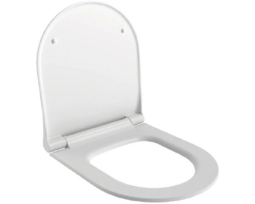 Приобрести Подвесной безободковый унитаз с сиденьем микролифт Ambassador Queen 113T20001R-112T20001S в магазине сантехники Santeh-Crystal.ru