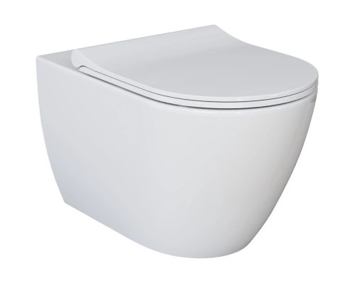 Приобрести Подвесной безободковый унитаз с сиденьем микролифт Ambassador Queen 113T20001R-112T20001S в магазине сантехники Santeh-Crystal.ru