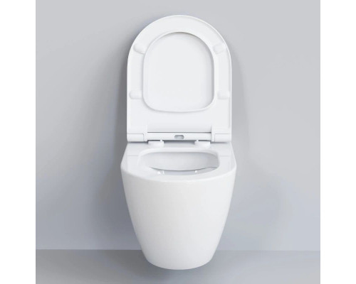 Заказать Подвесной безободковый унитаз Ambassador Queen 113T20001R в магазине сантехники Santeh-Crystal.ru