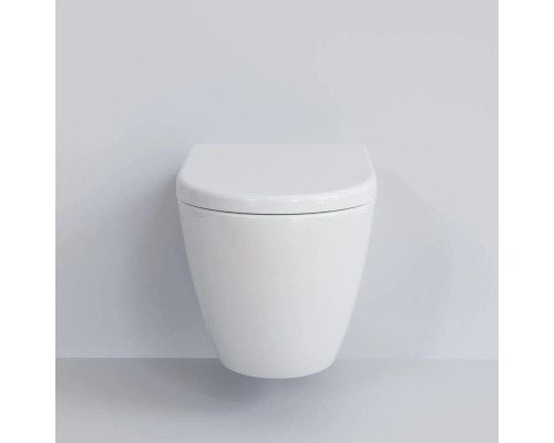 Заказать Подвесной безободковый унитаз Ambassador Queen 113T20001R в магазине сантехники Santeh-Crystal.ru