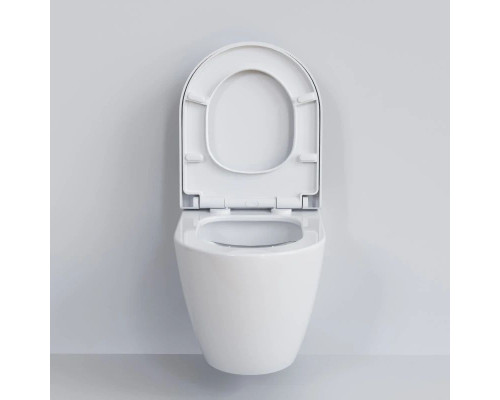 Заказать Подвесной безободковый унитаз Ambassador Queen 113T20001R в магазине сантехники Santeh-Crystal.ru