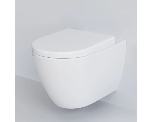 Заказать Подвесной безободковый унитаз Ambassador Queen 113T20001R в магазине сантехники Santeh-Crystal.ru