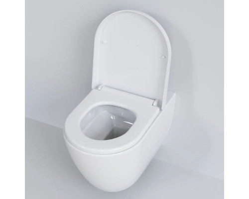 Заказать Подвесной безободковый унитаз Ambassador Queen 113T20001R в магазине сантехники Santeh-Crystal.ru