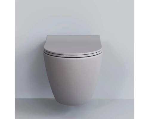 Купить Подвесной безободковый унитаз Ambassador Queen 113T20301R в магазине сантехники Santeh-Crystal.ru