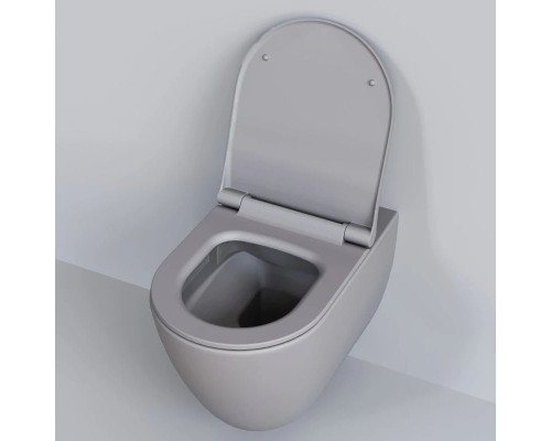 Купить Подвесной безободковый унитаз Ambassador Queen 113T20301R в магазине сантехники Santeh-Crystal.ru