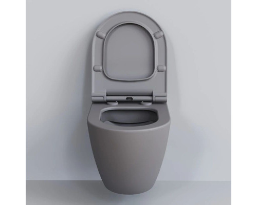 Купить Подвесной безободковый унитаз Ambassador Queen 113T20301R в магазине сантехники Santeh-Crystal.ru