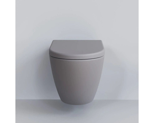 Купить Подвесной безободковый унитаз Ambassador Queen 113T20301R в магазине сантехники Santeh-Crystal.ru