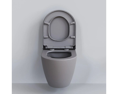 Купить Подвесной безободковый унитаз Ambassador Queen 113T20301R в магазине сантехники Santeh-Crystal.ru