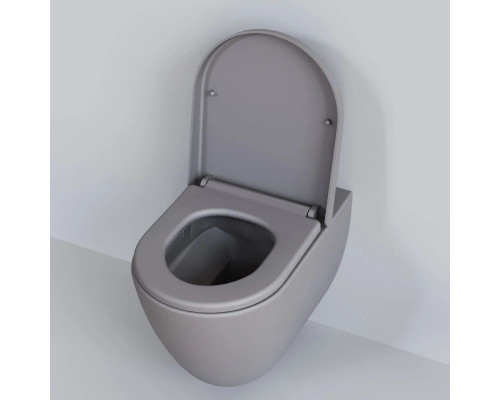 Купить Подвесной безободковый унитаз Ambassador Queen 113T20301R в магазине сантехники Santeh-Crystal.ru