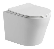 Подвесной безободковый унитаз с сиденьем микролифт Vincea Piatti VT1-11S