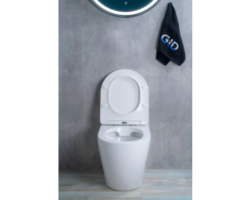 Приобрести Приставной безободковый унитаз с сиденьем микролифт GID TRS-269 в магазине сантехники Santeh-Crystal.ru
