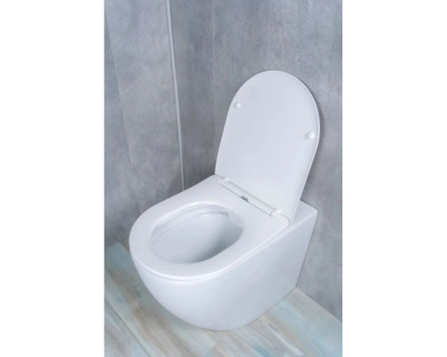 Приобрести Приставной безободковый унитаз с сиденьем микролифт GID TRS-269 в магазине сантехники Santeh-Crystal.ru