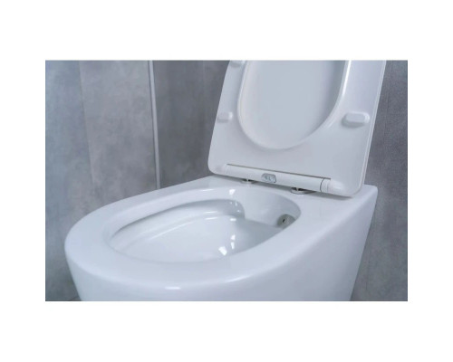 Приобрести Приставной безободковый унитаз с сиденьем микролифт GID TRS-269 в магазине сантехники Santeh-Crystal.ru