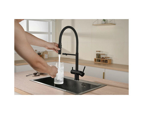 Смеситель для кухни Vincea VKF-120MB с подключением к фильтру, гибким изливом, черный матовый