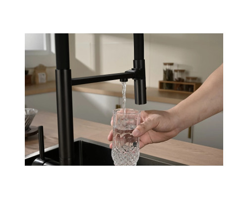 Смеситель для кухни Vincea VKF-120MB с подключением к фильтру, гибким изливом, черный матовый